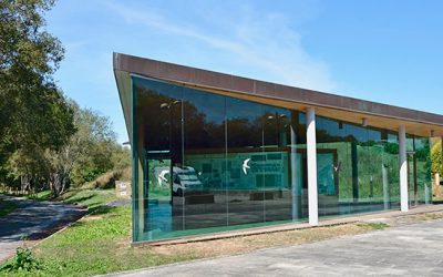 Iniciación as aves acuáticas invernantes na Lagoa de Cospeito