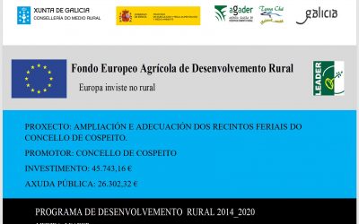 PROXECTO: AMPLIACIÓN E ADECUACIÓN DOS RECINTOS FERIAIS DO CONCELLO DE COSPEITO.