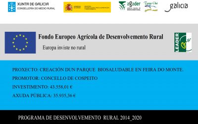 CREACIÓN DUN PARQUE  BIOSALUDABLE EN FEIRA DO MONTE