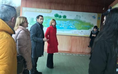 La Xunta de Galicia y el Concello de Cospeito impulsan el turismo ornitológico en la Laguna y el Museo de las Aves