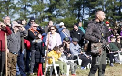 Éxito de público na proba de cetrería