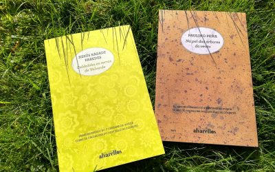 1º PREMIO DE POESÍA TORRE DE CALDALOBA